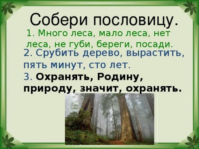 Срубили деревья пословица. Пословицы о лесе. Пословицы любить и беречь природу. Пословицы беречь природу. Пословицы любить природу.