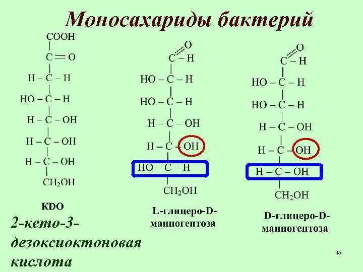 Моносахариды образуются в результате. Моносахариды представители. Строение моносахаридов. Общая формула моносахаридов. Моносахариды определение.