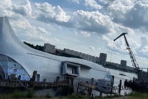 Серебряный кит ресторан