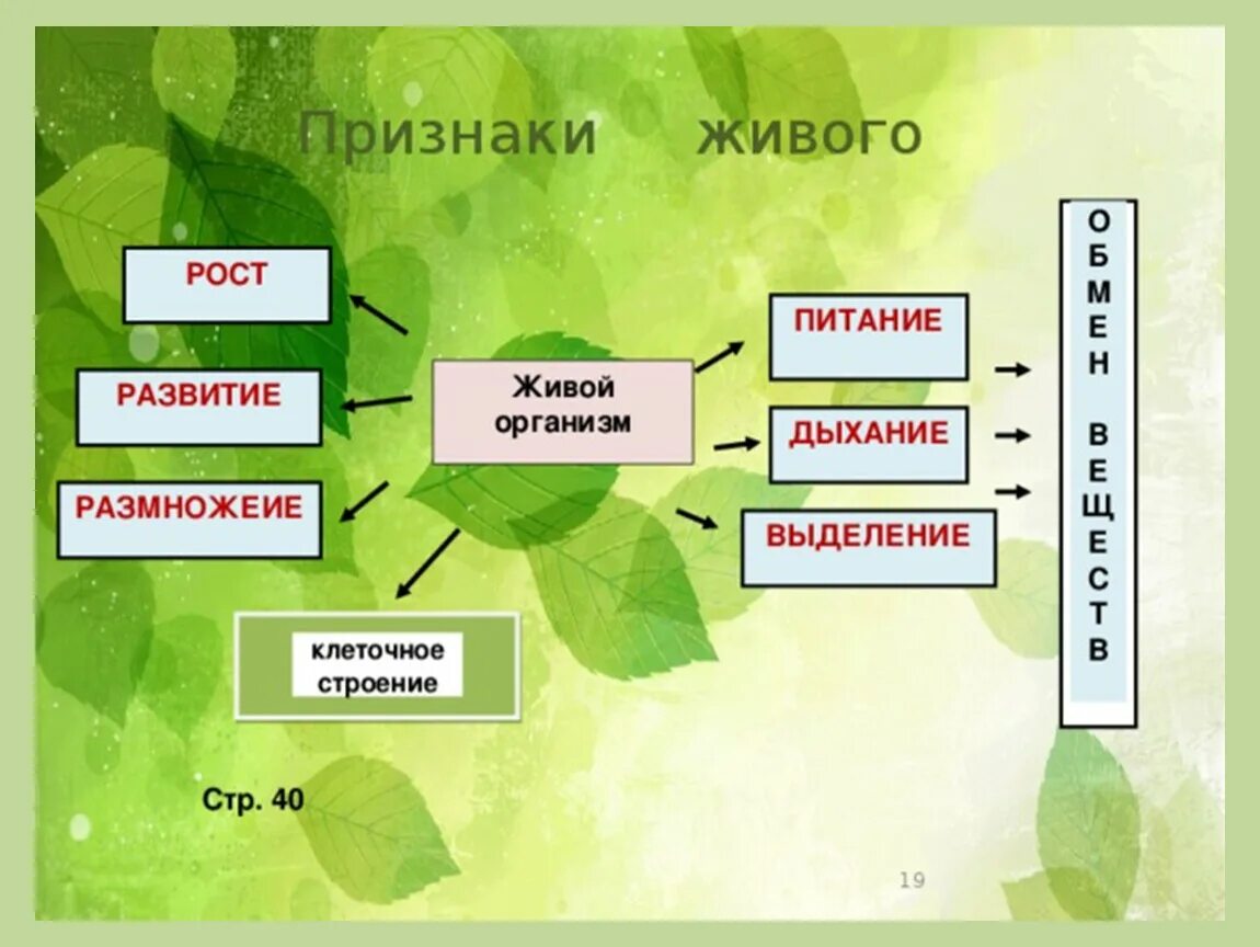 Основные свойства живых организмов 5 класс биология. Признаки живых организмов биология 5 класс. Признаки живых организмов 5 класс. Признаки живого 5 класс биология. Питание дыхание движение