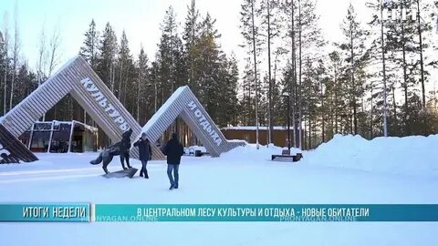 Нягань тн