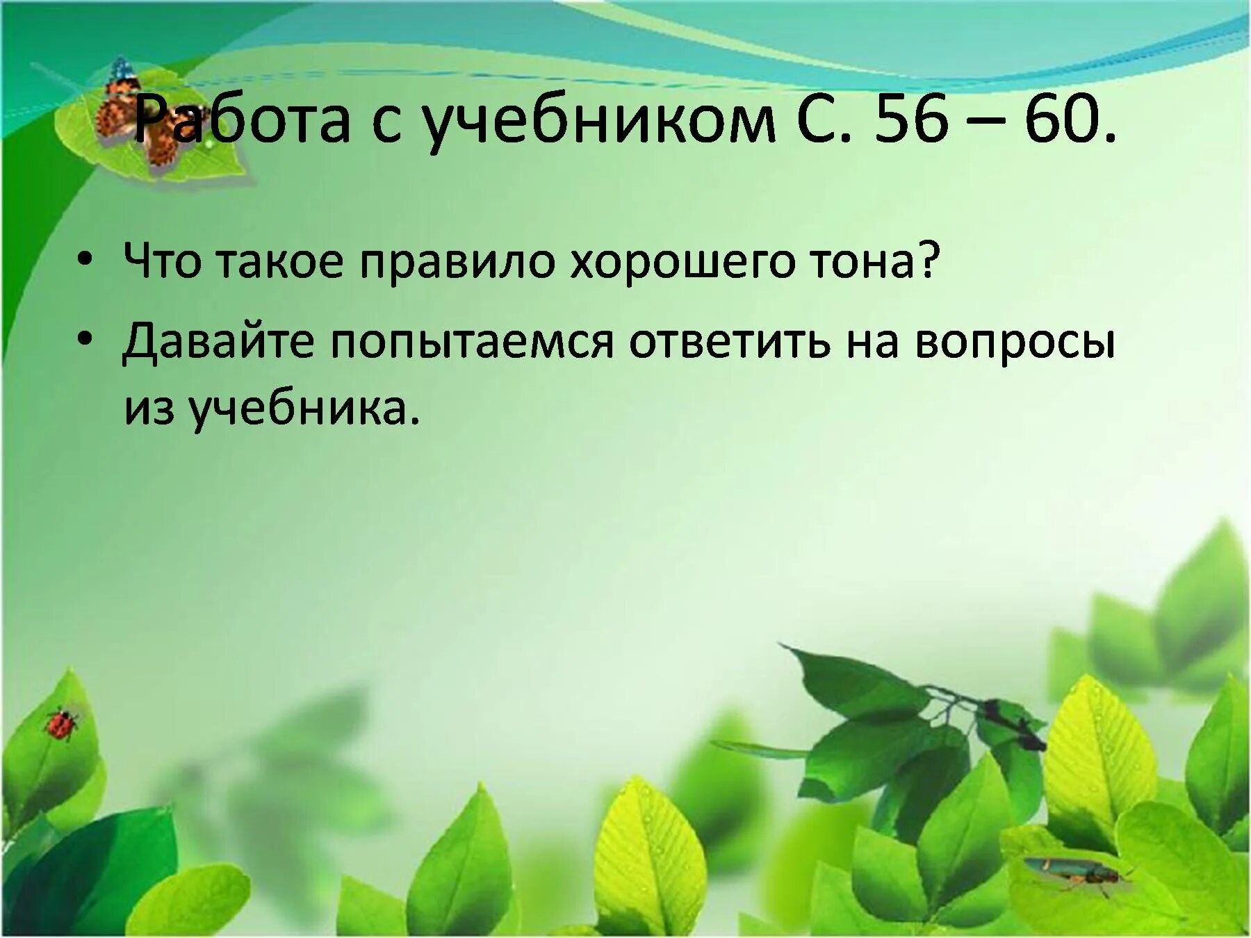 Биология летом. Дерево зеленое. Биология летом. Растительный фон. Биология летом.