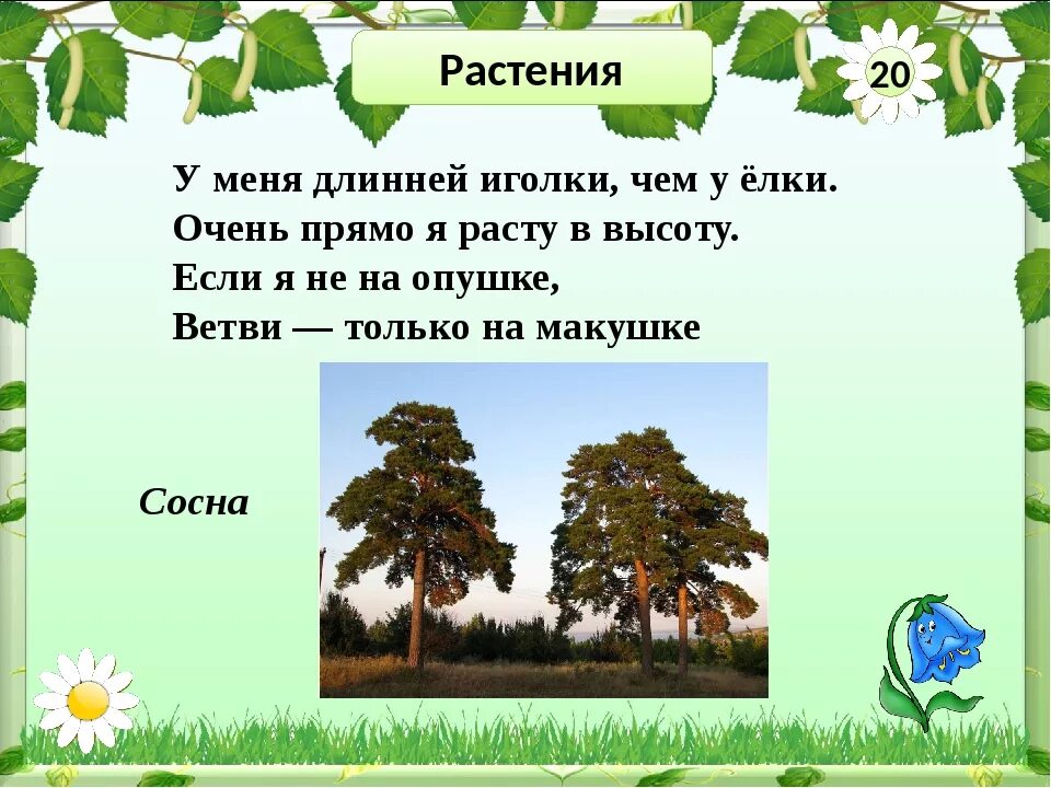 Проект по окружающему миру 4 класс наш край. Родной край окружающий мир. Проект родной край часть большой страны. Проект по окружающему миру родной край. Готовый проект окружающему миру 4 класс