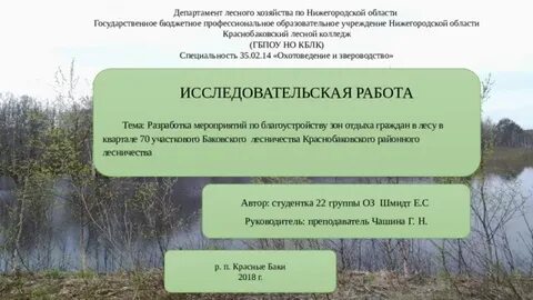 Работа лес нижний