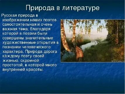 Русский лес краткое содержание