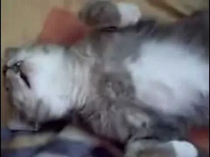 Разбудили видео