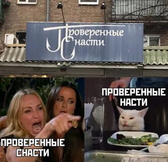 Мем женщина и кот за столом