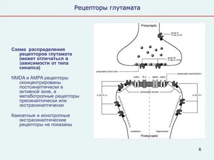Рецептор схема
