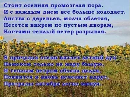 Текст стояла осень в солнце и туманах