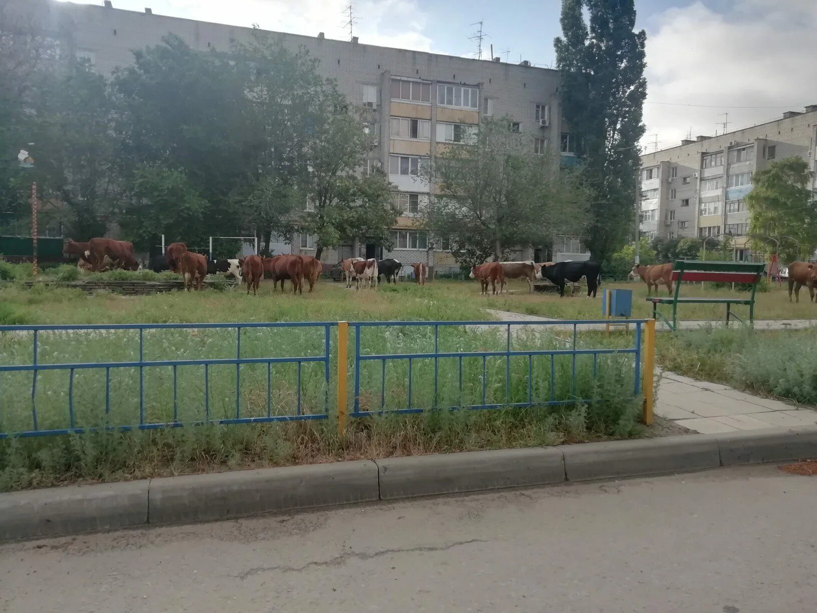 Поселок Максима Горького Волгоград. Посёлок Горьковский Волгоград. Поселок Максимка Горьковский Волгоград. Улицы поселка максима горького