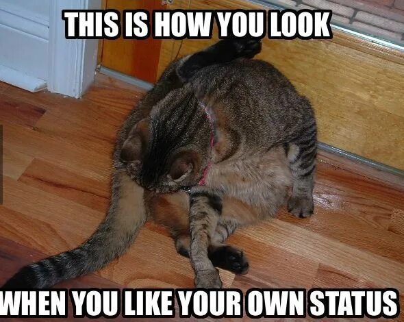 Your own is looking at you. Мем your comment. liking. liking your own post. i like your cutg.