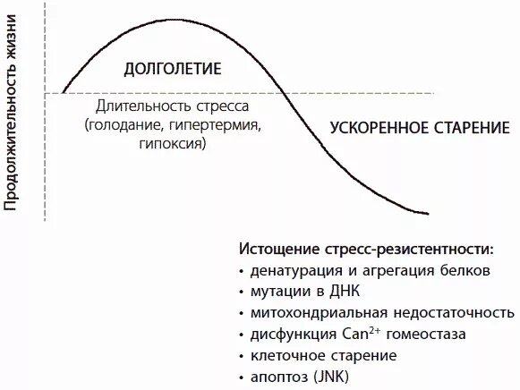 Стресс голодание. Стресс ускоряет старение. График старения человека. Стресс-индуцированное клеточное старение. Как победить старение.