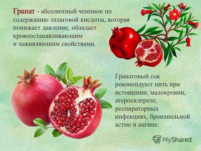 Можно ли гранатовый сок при давлении. Гранатовый сок понижает давление. гранатовый сок снижает давление. гранатовый сок повышает давление или понижает. гранат понижает давление или нет.