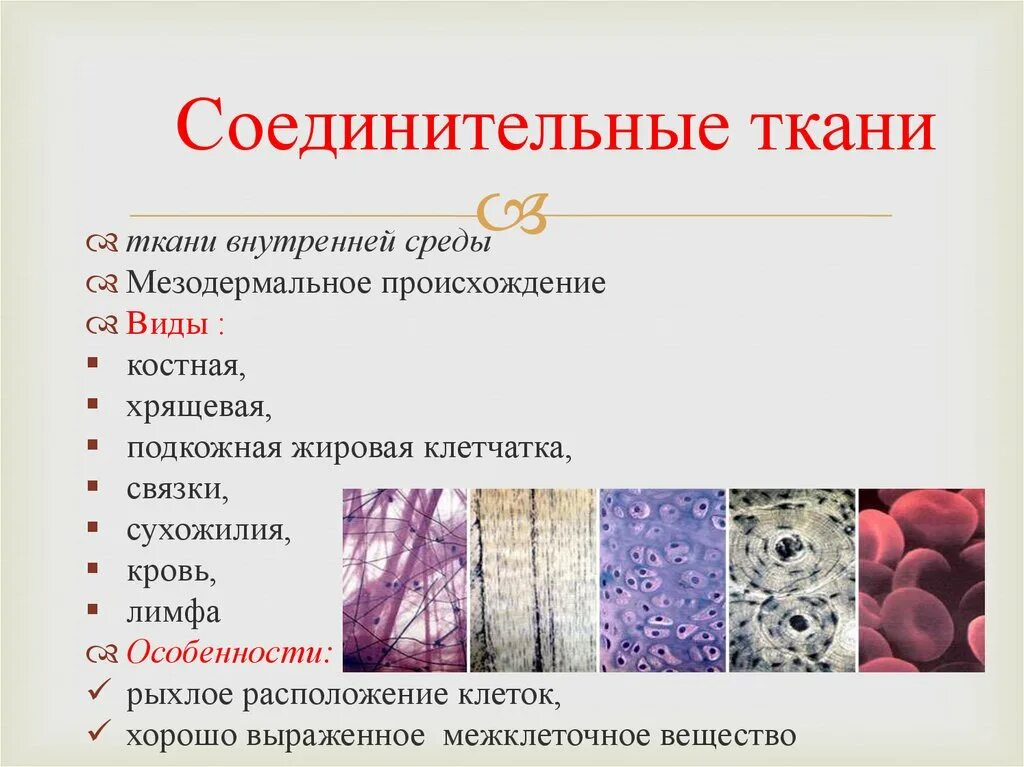 Какие органы входят в соединительную ткань. Строение и функция соединительной ткани анатомия. Соединительная ткань виды строение. Схема строения соединительной ткани. Подвиды соединительной ткани.