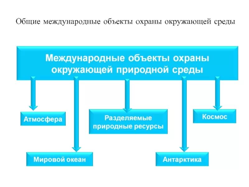 Международные объекты охраны окружающей среды. «Международные объекты охраны окружаю- щей среды. Международное сотрудничество в области окружающей среды. Объекты международного сотрудничества.