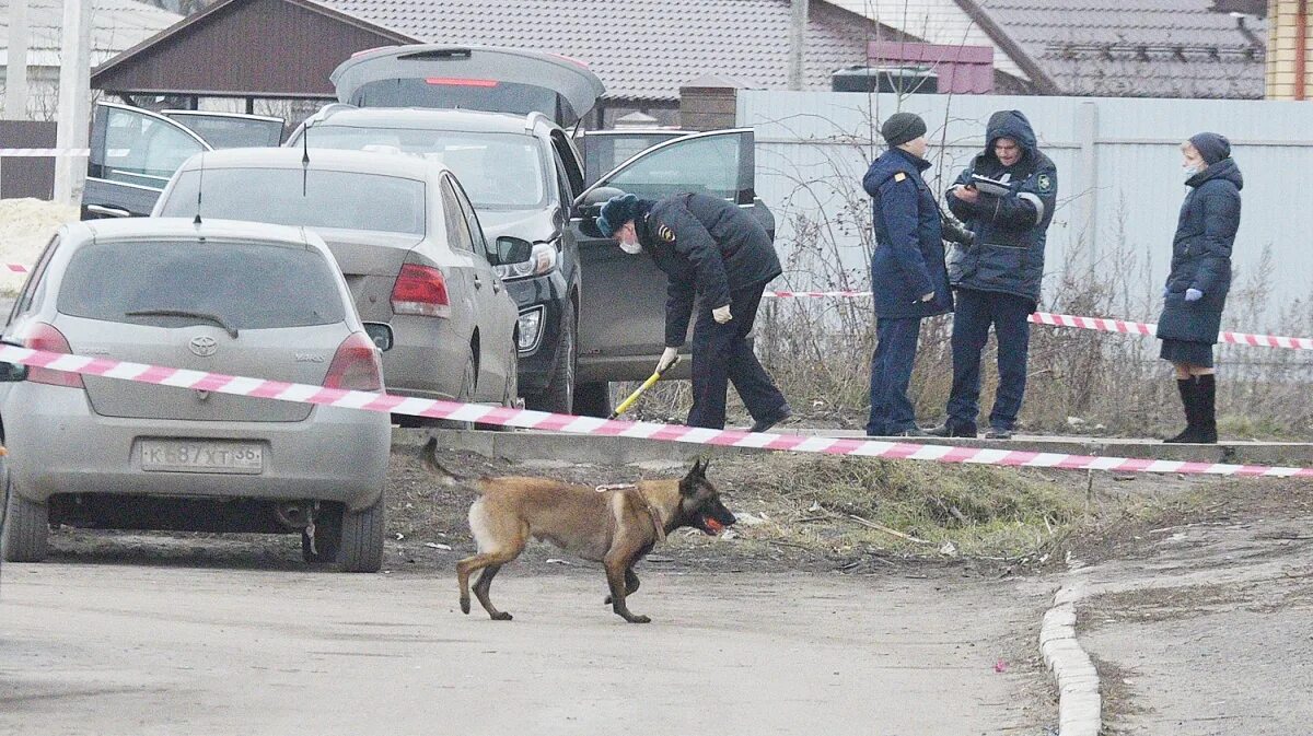 Пережил покушение. Глава Рамони покушение. Покушение на главу администрации Рамонского. Покушение на главу Рамонского района.