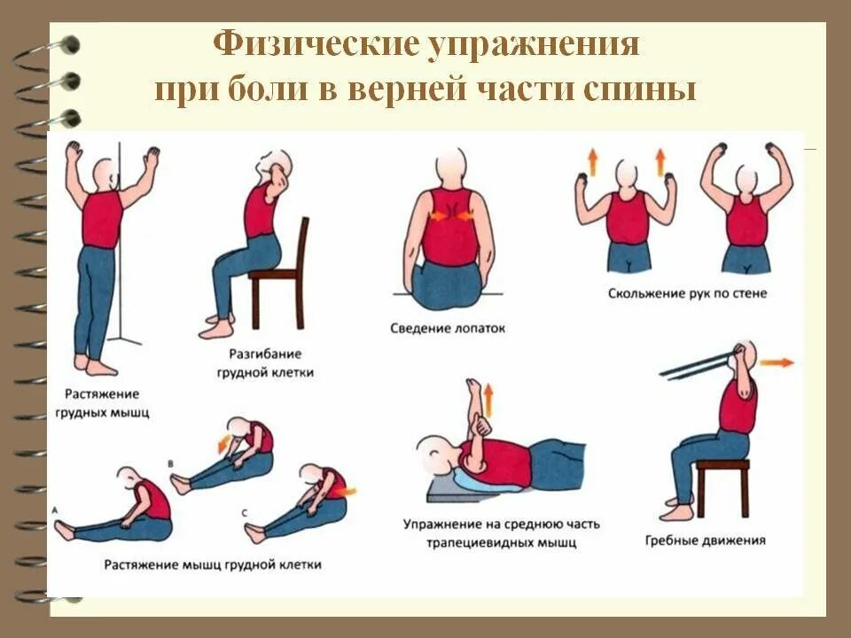 Упражнение шеи грудной остеохондроз. Упражнения при остеохондрозе. упражнения для грудного отдела. комплекс упражнений для грудного отдела позвоночника. комплекс упражнений при остеохондрозе позвоночника.