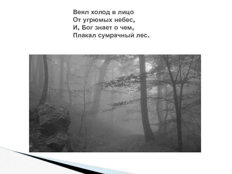 Стихотворение никитина лес. От тебя веет холодом. Повеяло холодом. Стих веет холод в лицо от угрюмых небес.