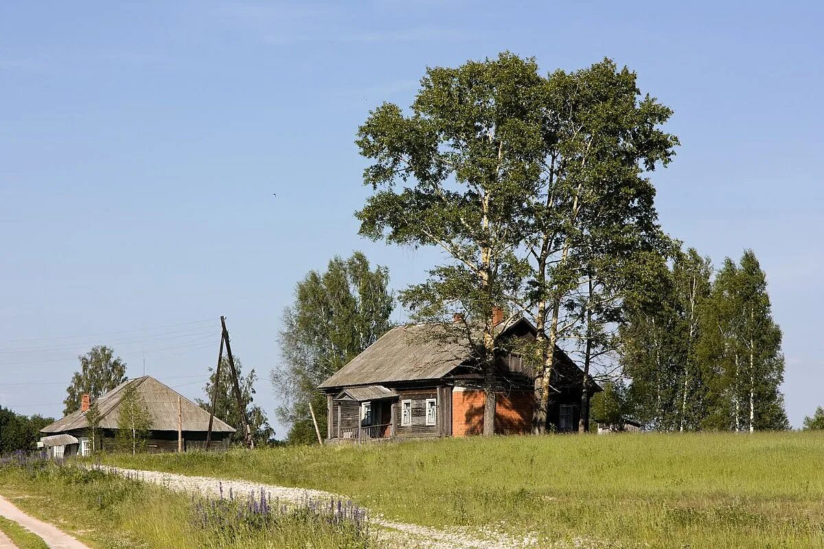 Сельсовет деревня. Деревня Ульянково Городецкий район Нижегородская область. Деревня Содомово Нижегородская область Городецкий район. Деревня Черново Городецкий район, Нижегородская область. Деревня Шапошное Городецкий район Нижегородская область.