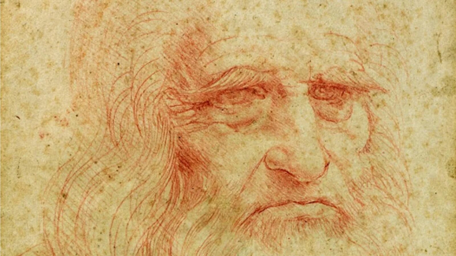 Просто да винчи. Человек леонардо да винчи. Леонардо да винчи (1452 – 1509). Великий художник леонардо да винчи. Леонардо давинчи портрет.