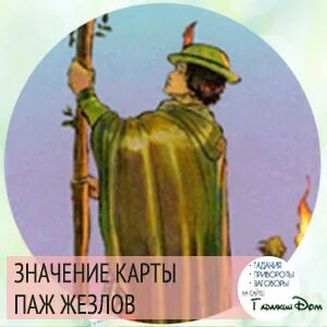 Паж жезлов в сочетании с другими картами
