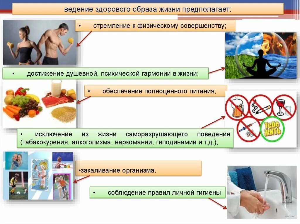 Диагностика здорово образ жизни. Здоровый образ жизни. Профилактика ЗОЖ. Ведение здорового образа жизни. Профилактика здорового образа.