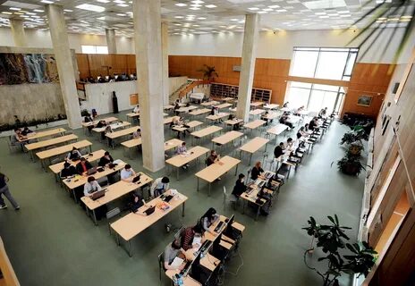 Мгимо работа