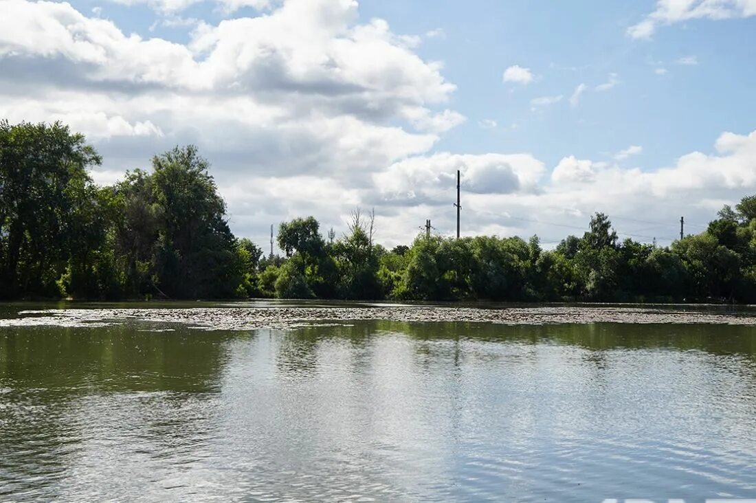 Город на реке сура. Река Сура Пенза. Река Сура в Пензенской области. Загрязнение реки Сура Пенза. Река Сура.