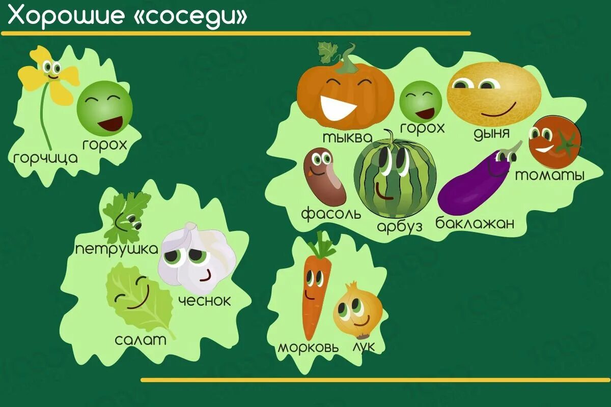 Соседство 1. Соседство овощей на грядках. полезное соседство овощей на огороде. правильное соседство овощей. огородное соседство овощей.