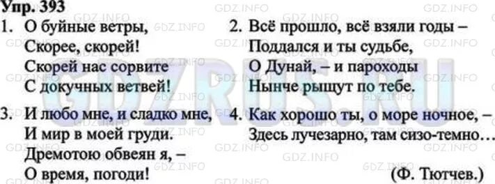 Русский язык 8 класс 393. Номер 393 по русскому языку 8 класс ладыженская. Русский язык 8 класс номер 393.