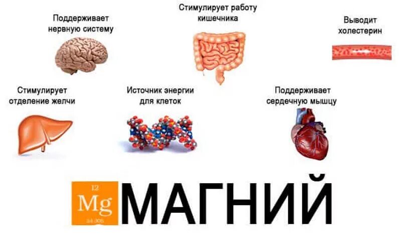 Недостаток магния в организме мужчины. Каким органам нужен магний в организме. Функции магния в организме. Магний роль магния в организме. Магний важность для организма.