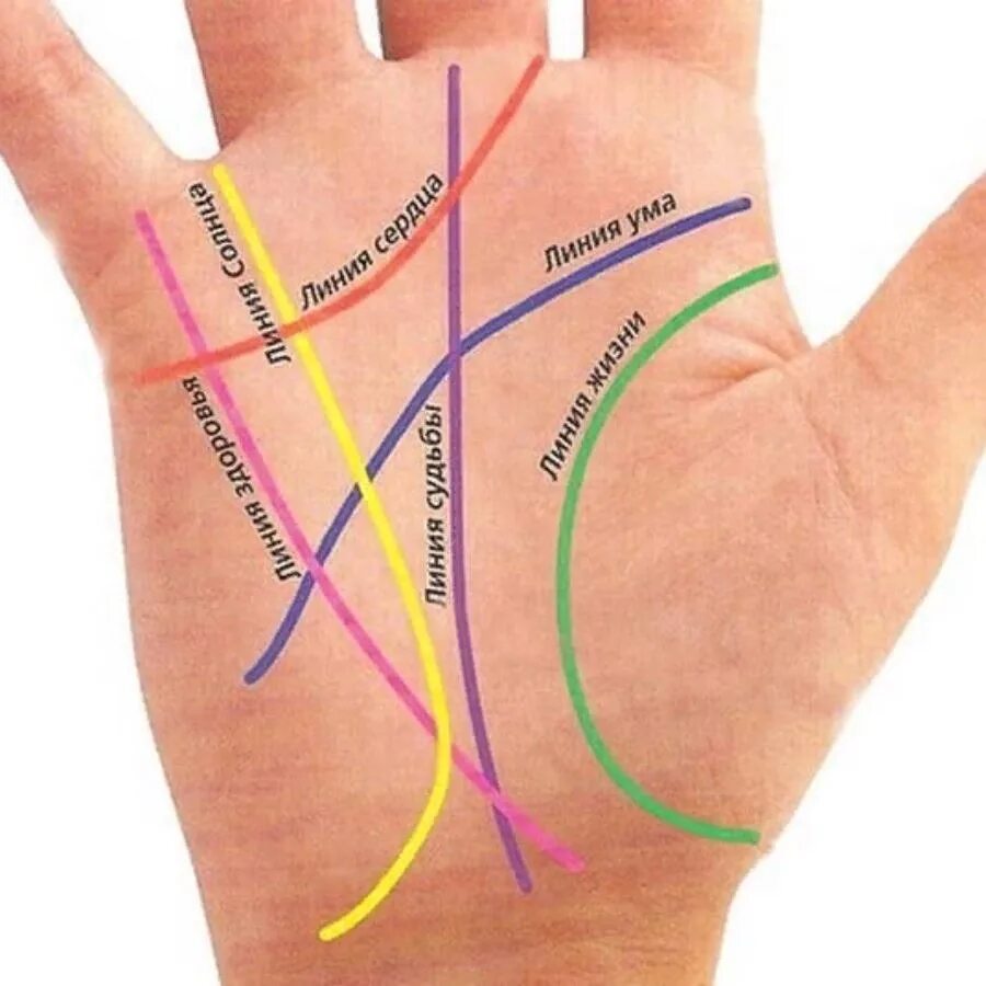Почему на руке полоска. Хиромантия линия судьбы. Линии на ладони. Линия судьбы на руке. Линия жизни на ладони.