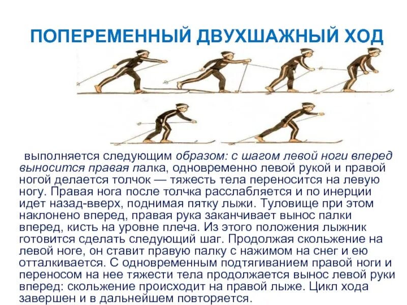 Реферат по физкультуре на тему лыжные ходы. Техника выполнения попеременного двухшажного хода. Лыжные ходы одновременный двухшажный ход. Попеременно двухшажный техника кратко. Техники лыжного хода попеременный двухшажный.