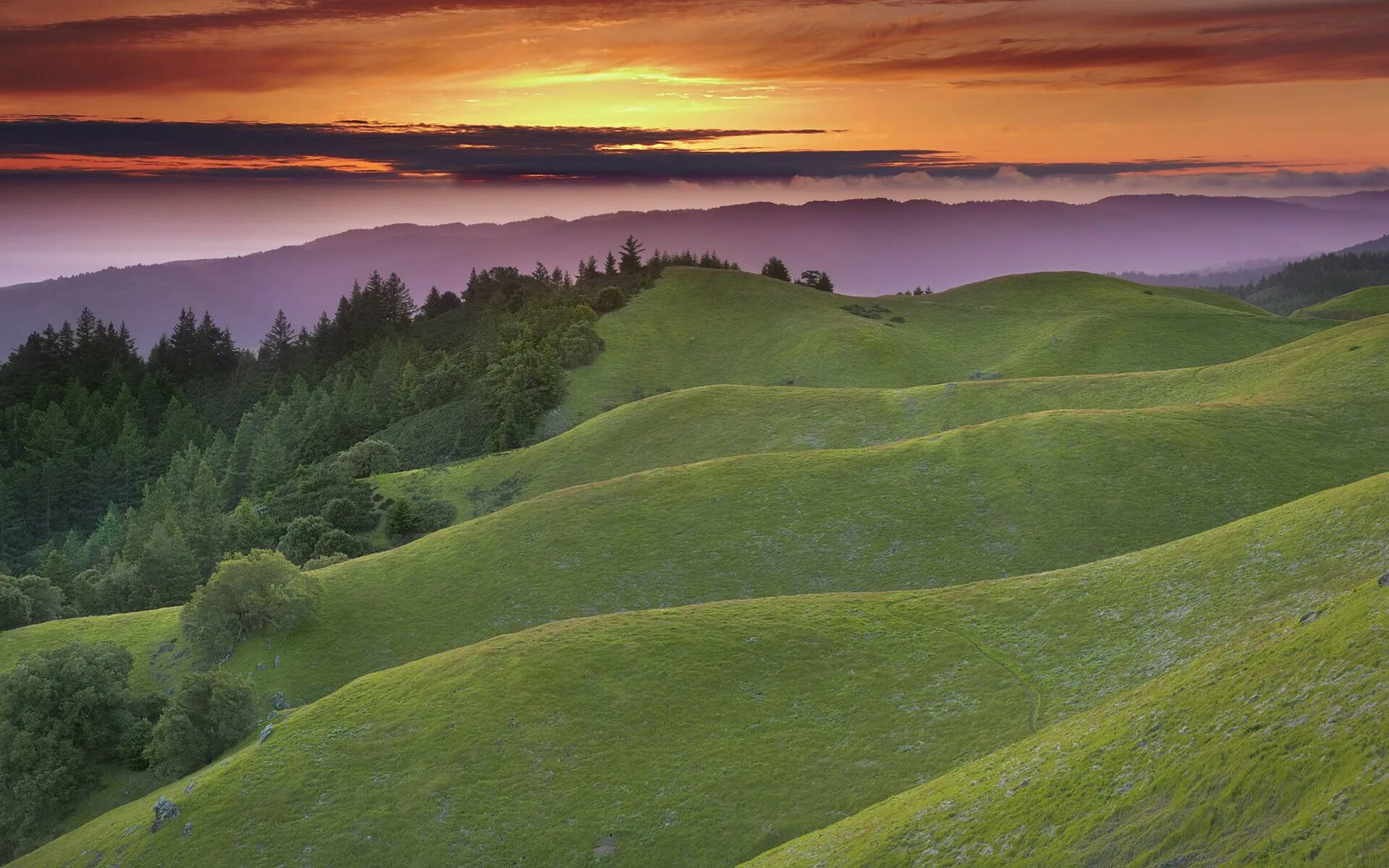 Холмы значение. Зеленые холмы Калифорнии. Зелёные холмы Гринфилд. Пейзаж холмы. Pejzaji Holmy.