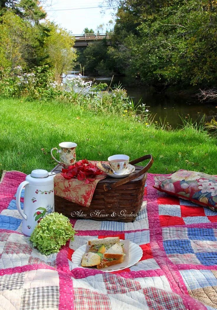 Завтрак на траве фото Pin by Lisa Loyd on Food Truck and Picnics Picnic inspiration, Picnic, Summer pi