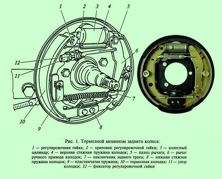 Тормозная система заднего колеса Газель. Механизм тормозной газельзатни колодки. Задний тормозной механизм Газель 3302. Тормозной механизм Газель заднего колеса 3302. Колодки барабанные задние газель