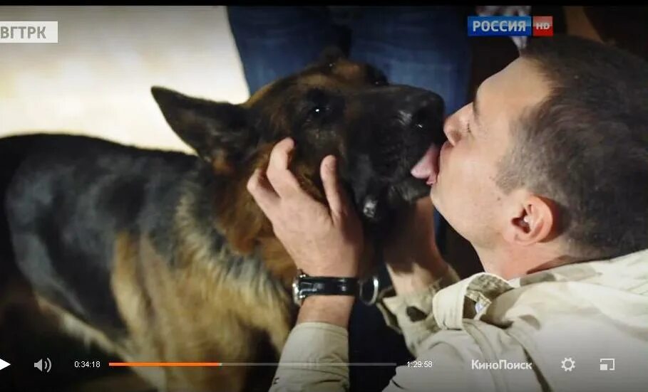 Моя собака идиот (2019). То моя собака. То моя собака. То моя собака. То моя собака.