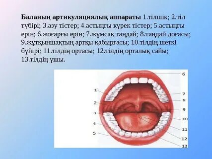 Көз жасы ағып кеткенше есектің ішіне кірді