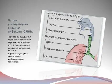 Инфекции дыхательных путей лечение