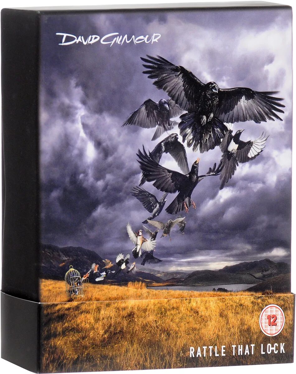 Rattle that lock. David gilmour, альбом rattle that lock, 2015. David gilmour rattle that lock 2015 обложка. Rattle that lock дэвид гилмор. Rattle that lock дэвид гилмор.