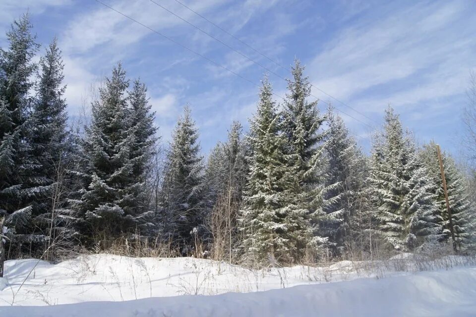 Погода в верхнем уфалее на неделю точный. Верхний Уфалей лес. Зимний лес в Уфалее. Природа Уфалей верхний зима. Леса верхнего Уфалея.