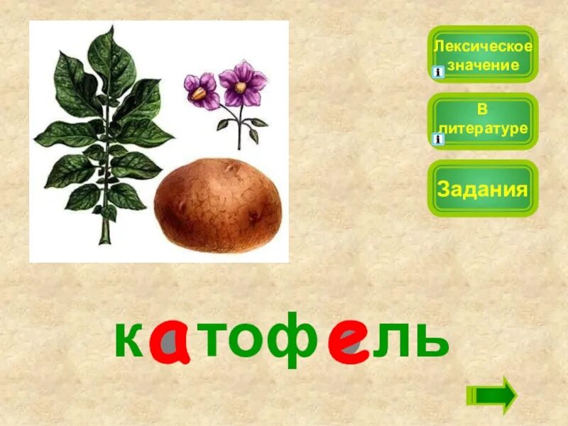 Плод яблони лексическое значение. Ель лексическое значение. овощи лексическое значение. лексическое значение слова ель. тетрадь лексическое значение.