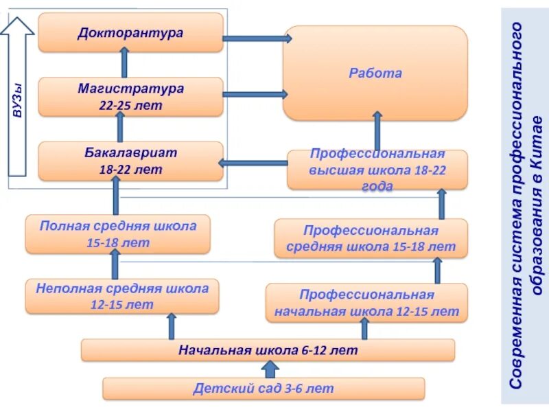 Бакалавриат магистратура докторантура. Магистратура аспирантура докторантура. Бакалавриат магистратура аспирантура докторантура. Система образования бакалавр Магистр.