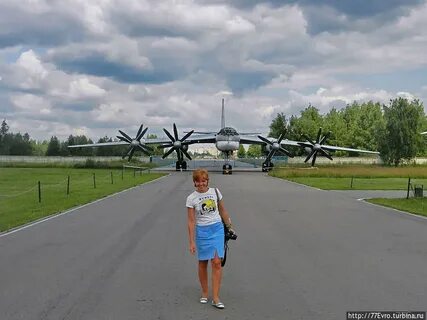 Типичная монина