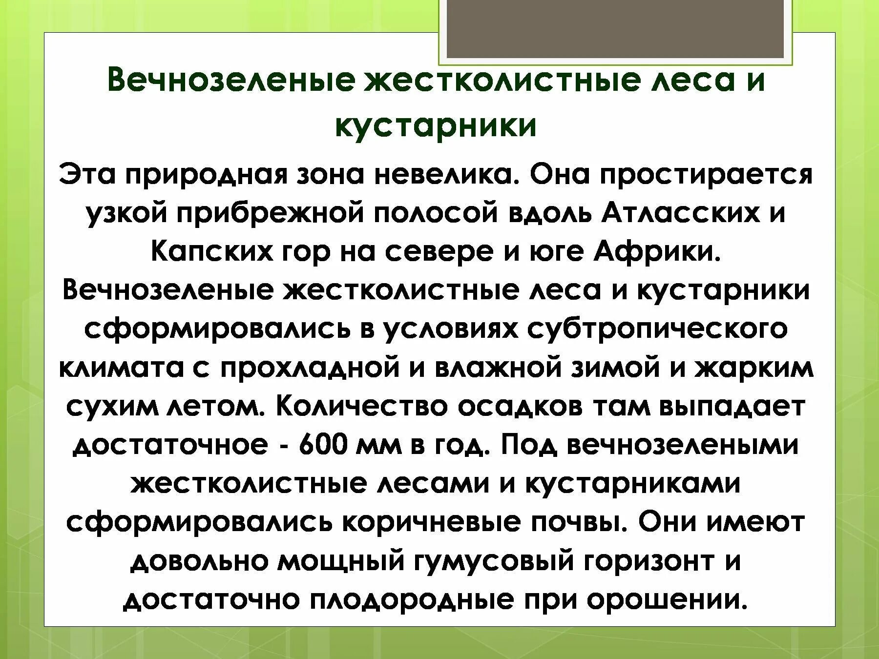 Презентация жестколистные вечнозеленые леса и кустарники. Почвы жестколистных лесов и кустарников. Жестколистные вечнозеленые леса и кустарники почва. Жестколистные леса Африки.