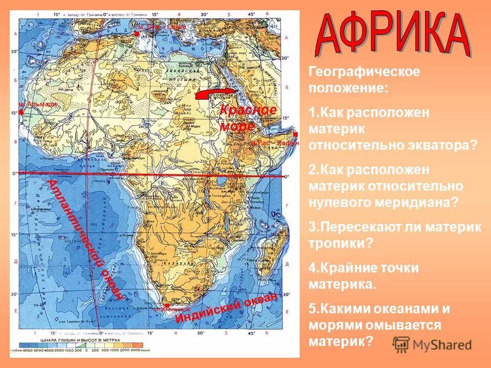 На каких материках расположена тайга