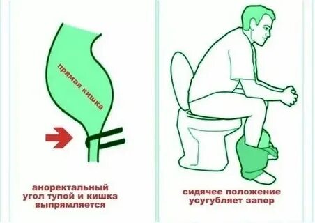 В туалет через час после еды