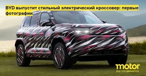 Byd leopard