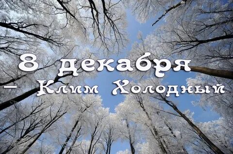 8 декабря 2016 г