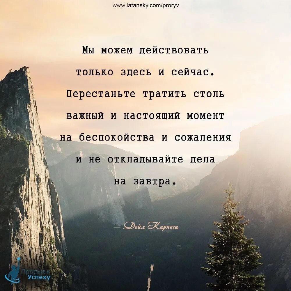 Жить нужно сегодня. Здесь и сейчас цитаты. Живи здесь и сейчас цитаты. Живите здесь и сейчас. Надо жить здесь и сейчас цитаты.